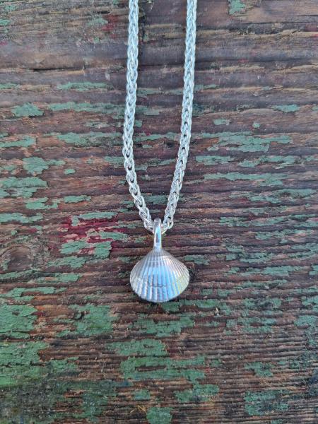 Herzmuschel - die „Kleine“